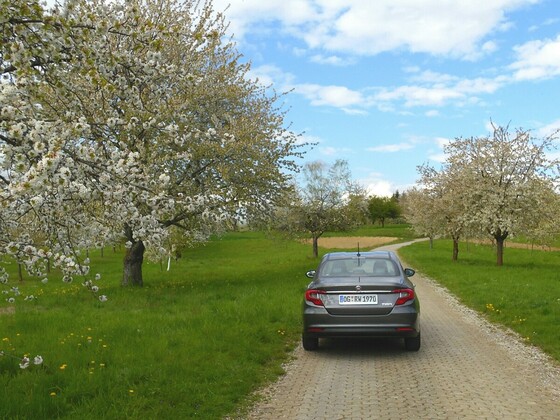 Kleines Limousinen Foto Shooting