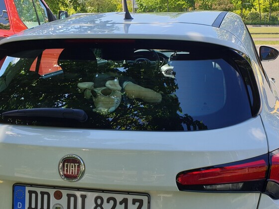 weißer  Bomber