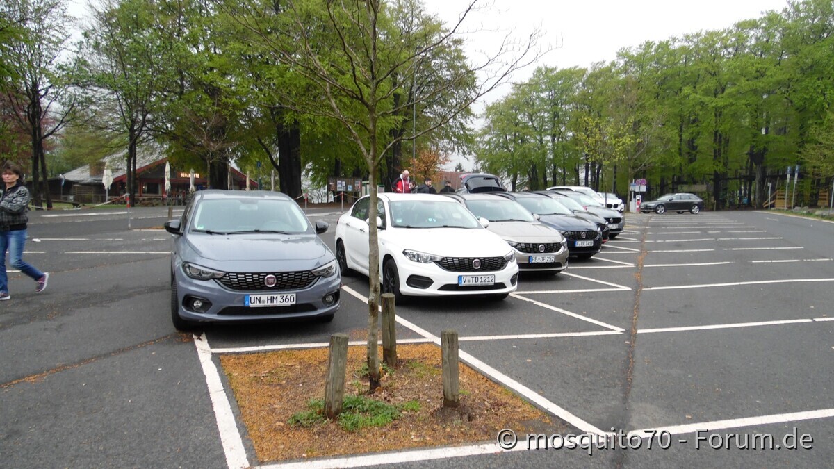 Schotten im April 2019