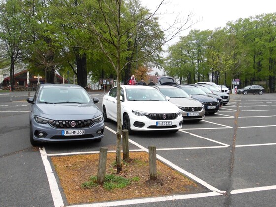 Schotten im April 2019