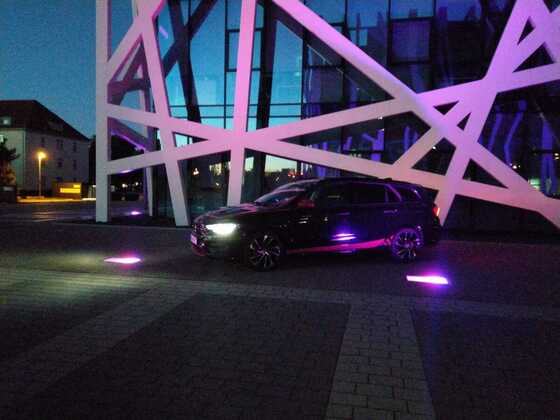 Black Viper bei Nacht