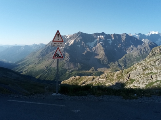 Bergziege Tipo