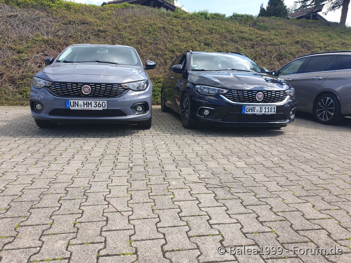 Schwarzarbeit im Schwarzwald