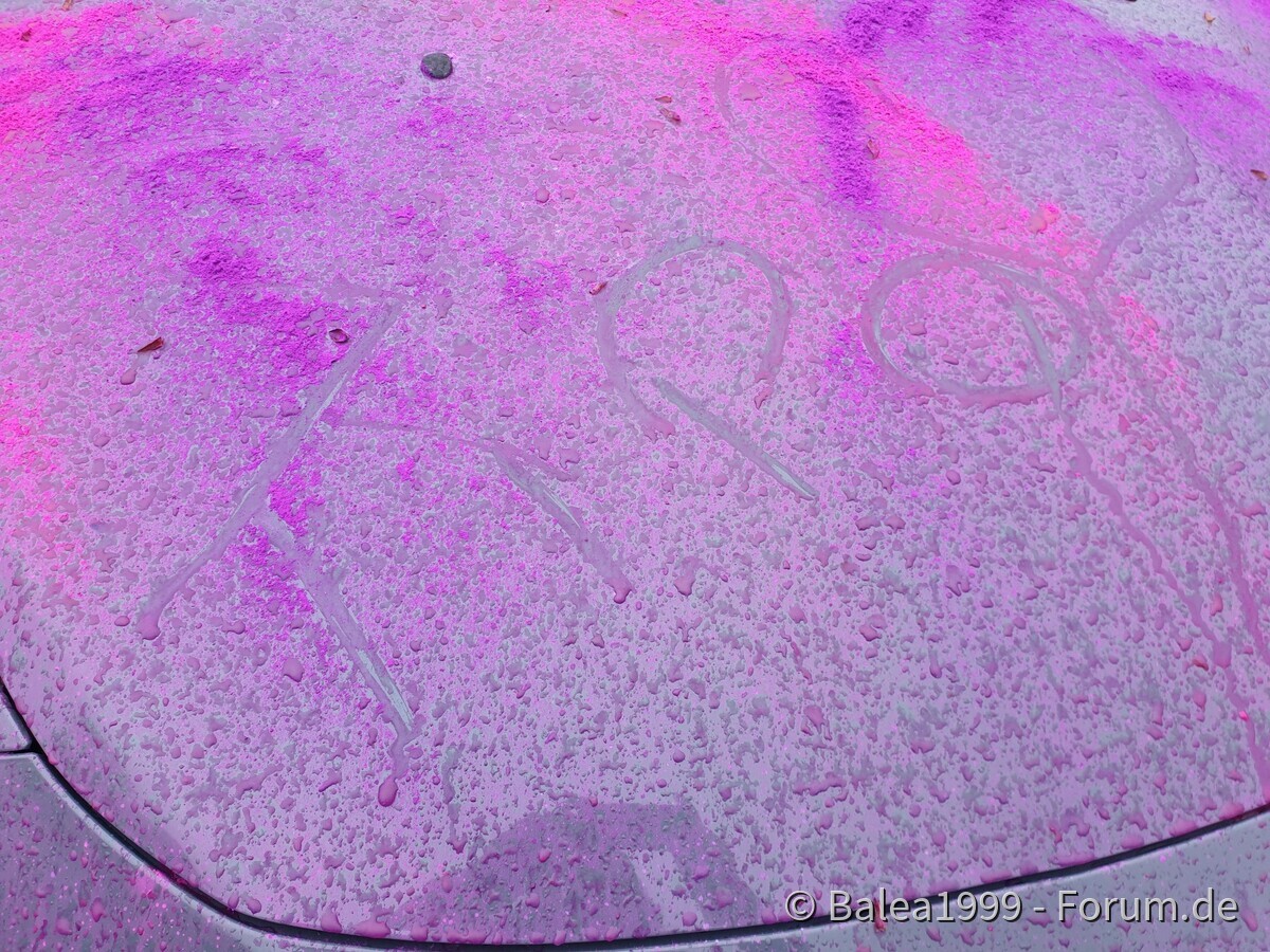 Schotten 2.0 mit Farbe