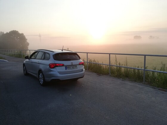 Frühnebel