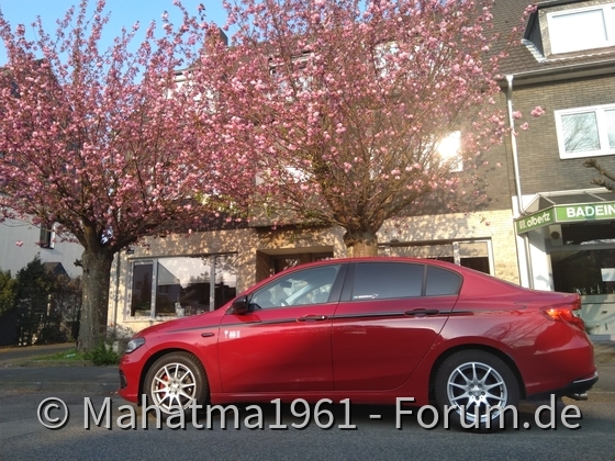 Kirschblüten vor der Haustür