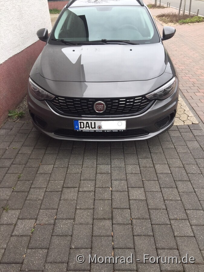 Meiner