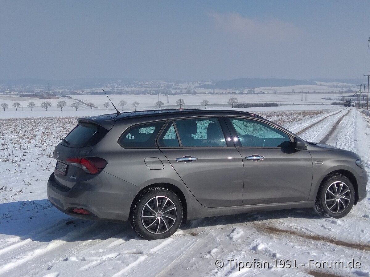Tipo im Schnee