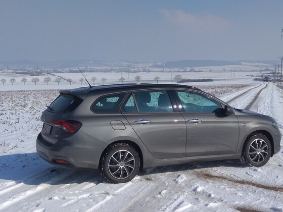 Tipo im Schnee