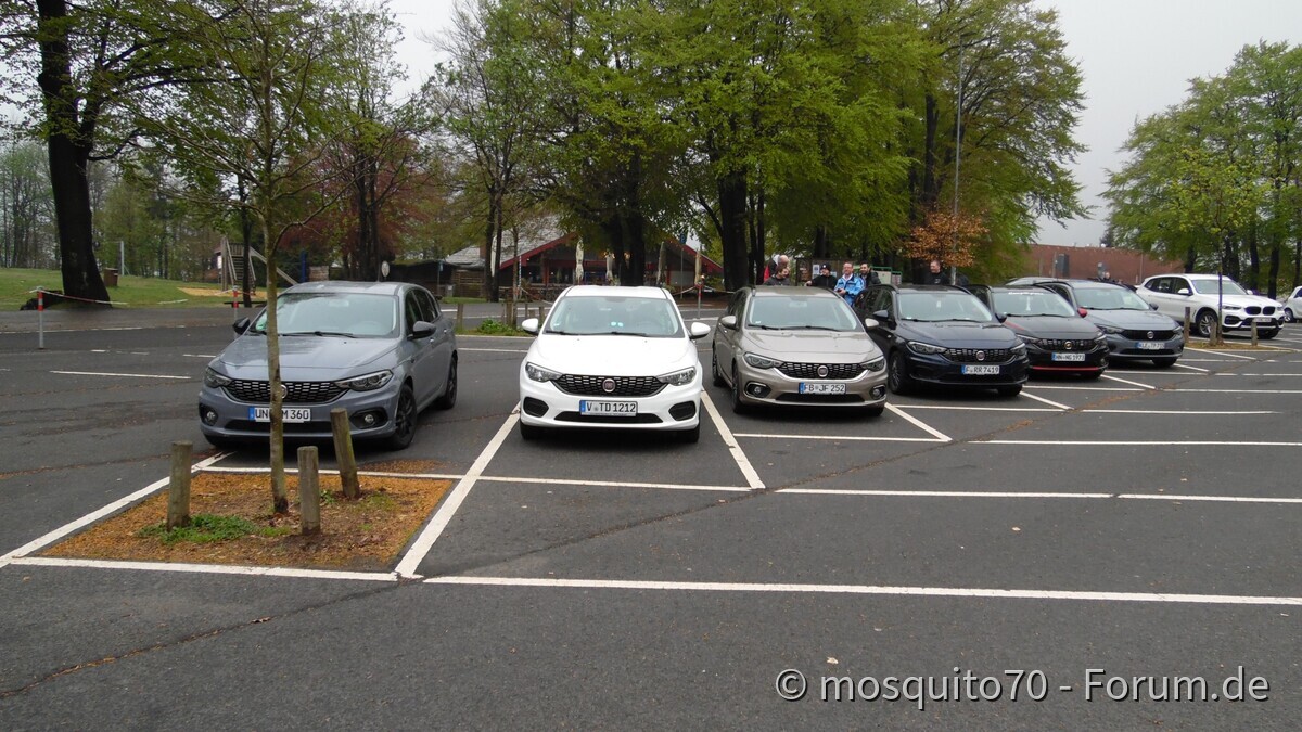 Schotten im April 2019