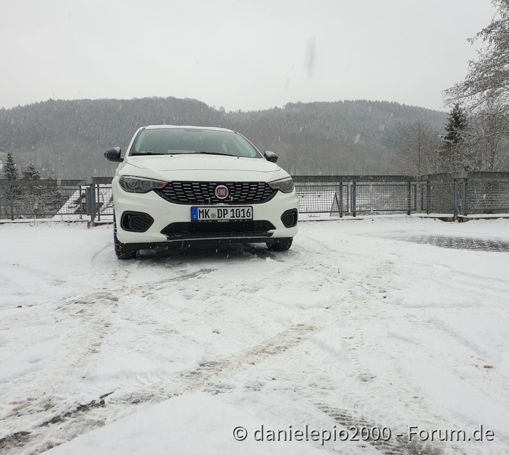 Tipo im Schnee spielen