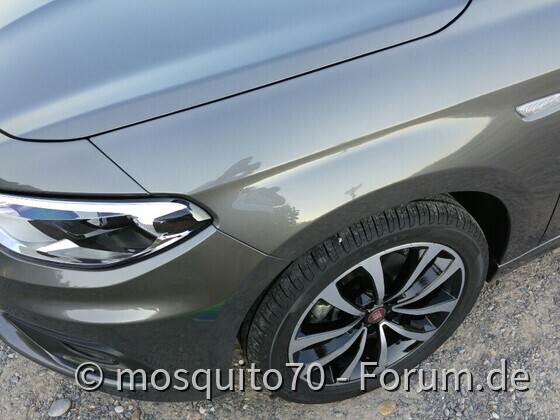 Mein Tipo Pic11