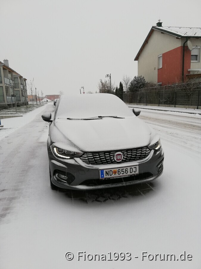 Schnee-Tipo