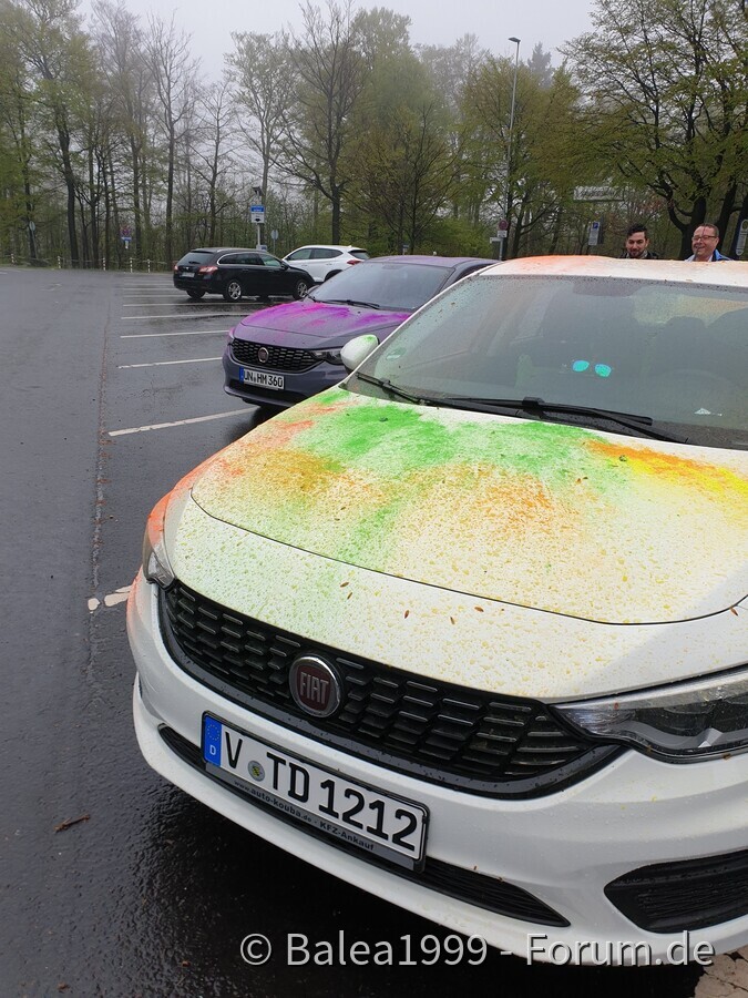 Schotten 2.0 mit Farbe