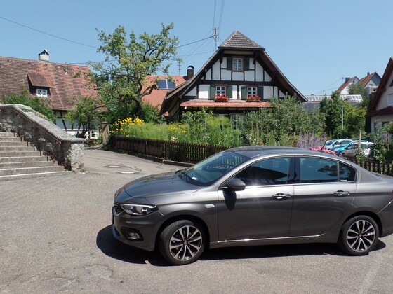 Der Tipo und die Weinberge über Durbach