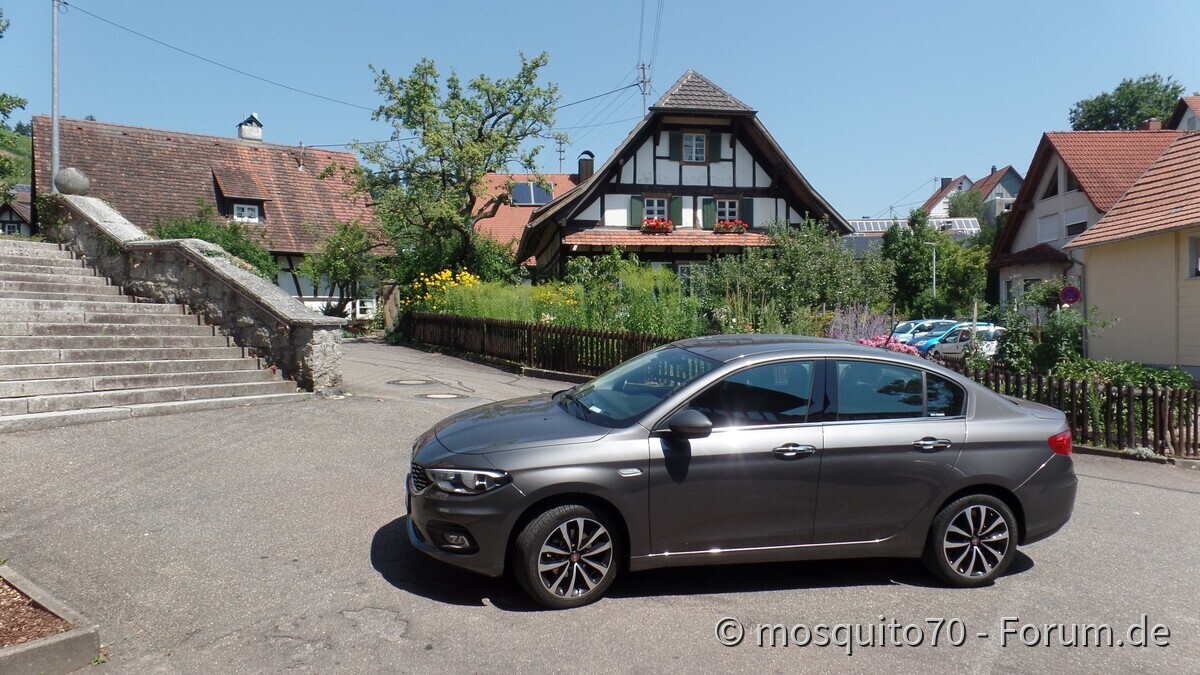 Der Tipo und die Weinberge über Durbach