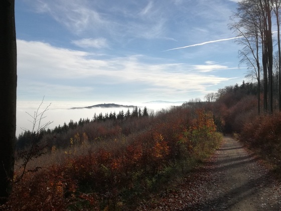 Nochmals zum Thema Herbst