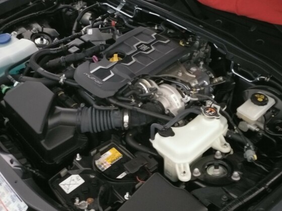 Meine Winterschläfer