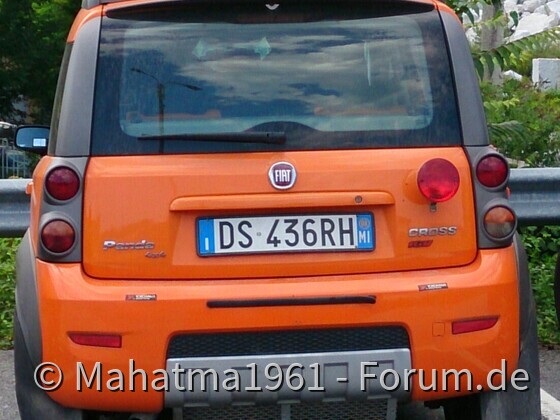 Schicker Panda