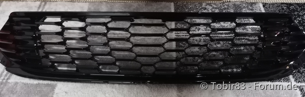 cleaner Frontgrill
