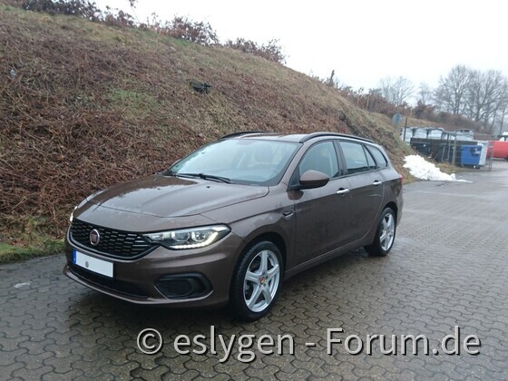 eslygens tipo5