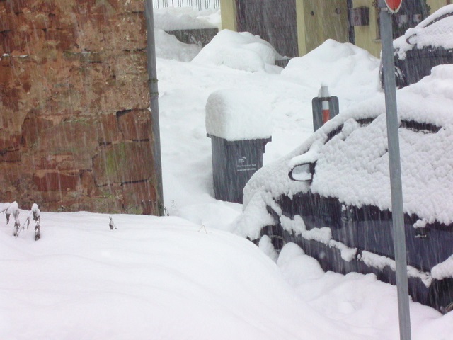 Winter 2010