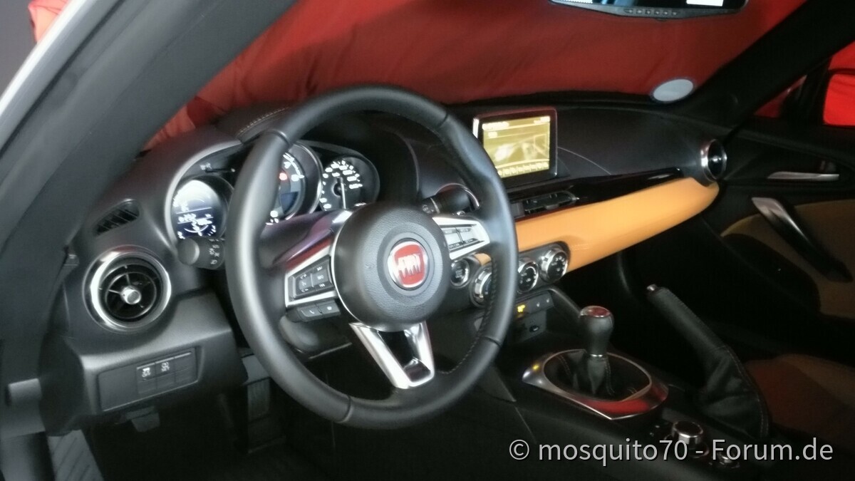 Meine Winterschläfer