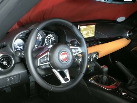 Meine Winterschläfer