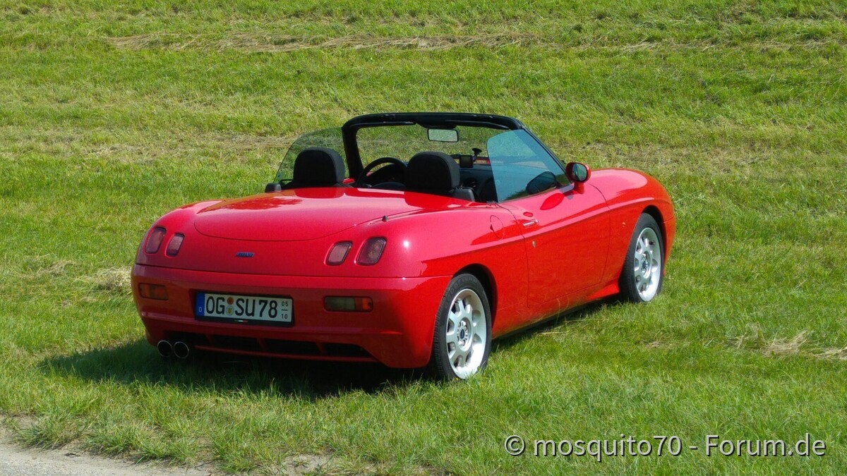 Mit der alten Dame am See