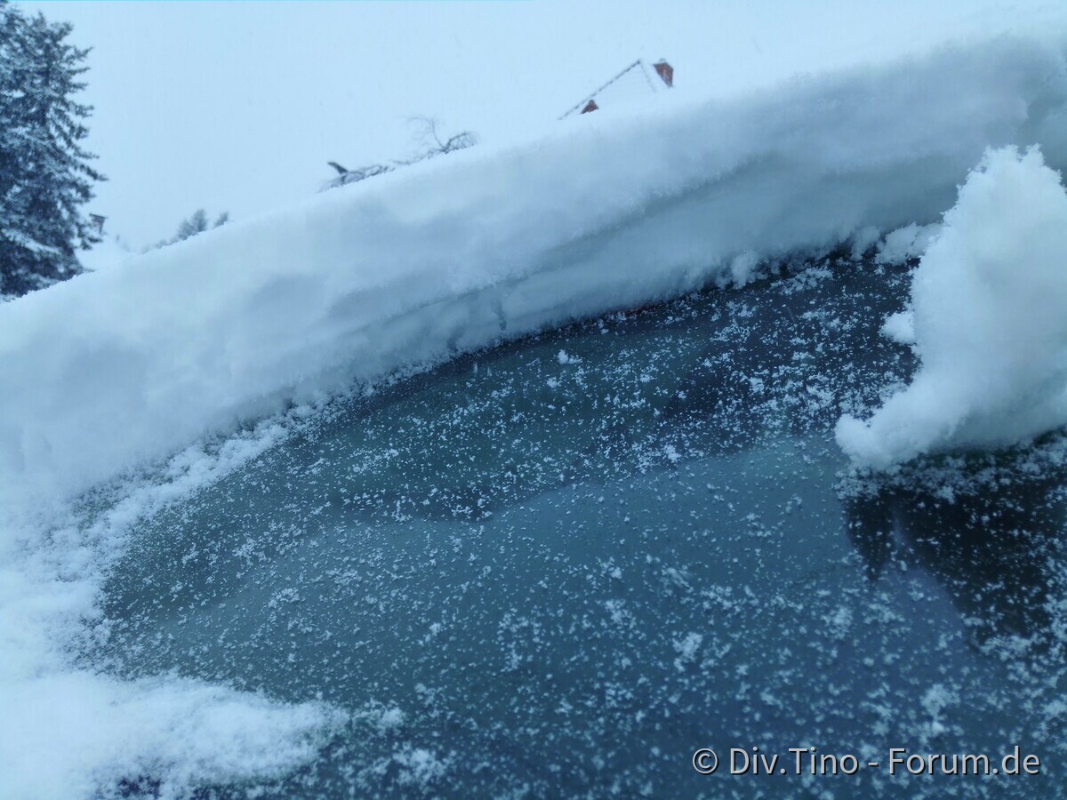 Winter 2019