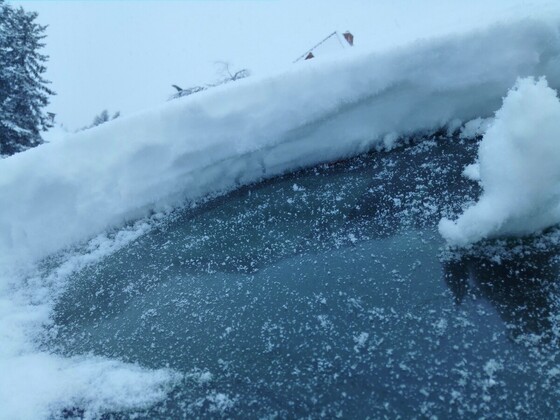 Winter 2019