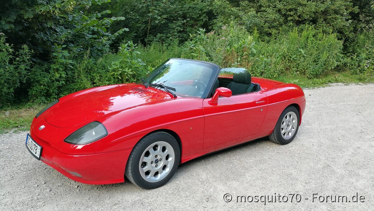 Die alte Dame in ihrem natürlichen Lebensraum