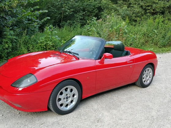 Die alte Dame in ihrem natürlichen Lebensraum