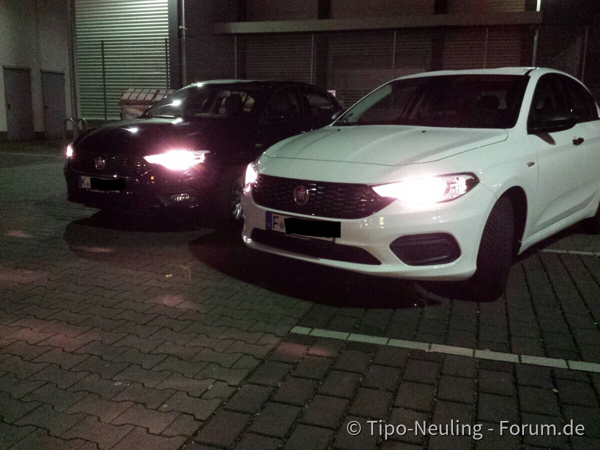 1. Tipo Treffen Frankfurt