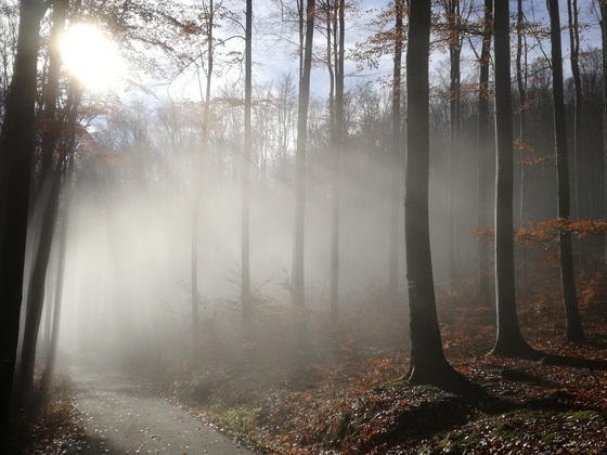 Nochmals zum Thema Herbst