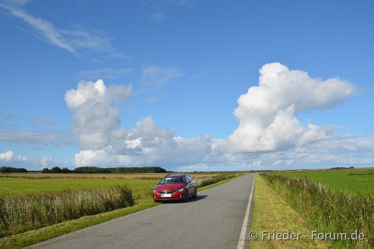 Mit dem Tipo auf Föhr...
