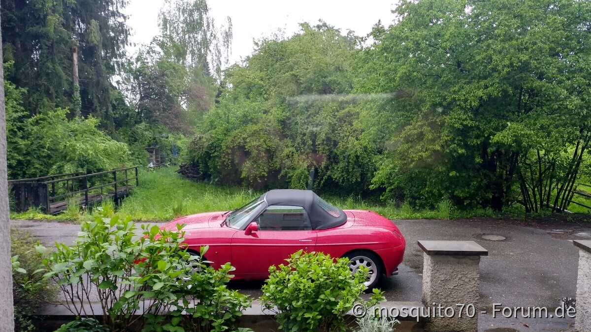 Sauwetter