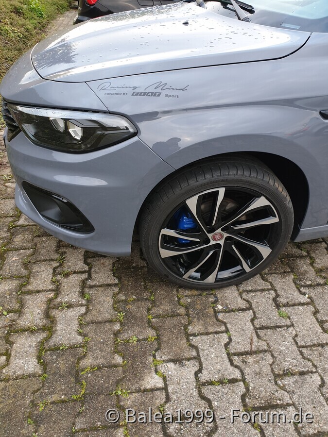 Schwarzarbeit im Schwarzwald