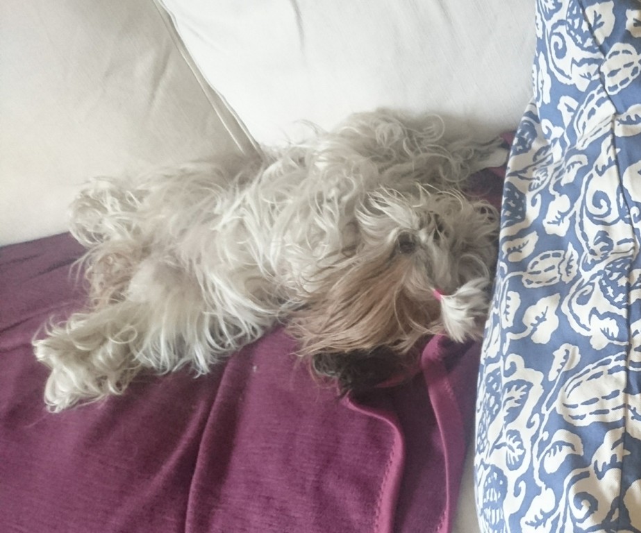 Couch für heute verloren.