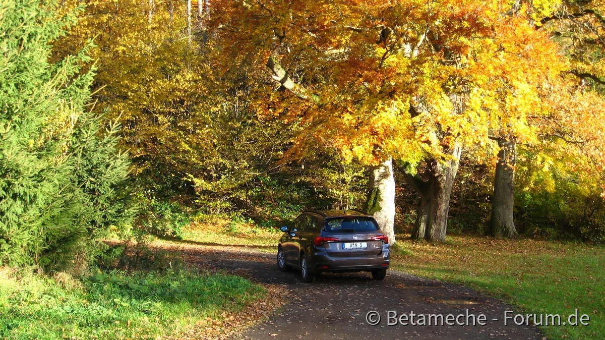 Herbstfarben