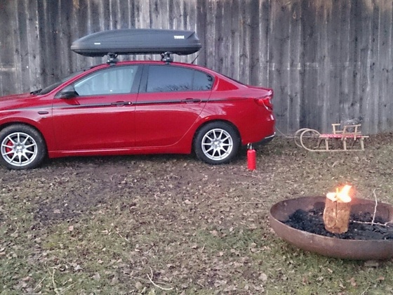 Stilleben: Tipo mit Huhn auf Schlitten