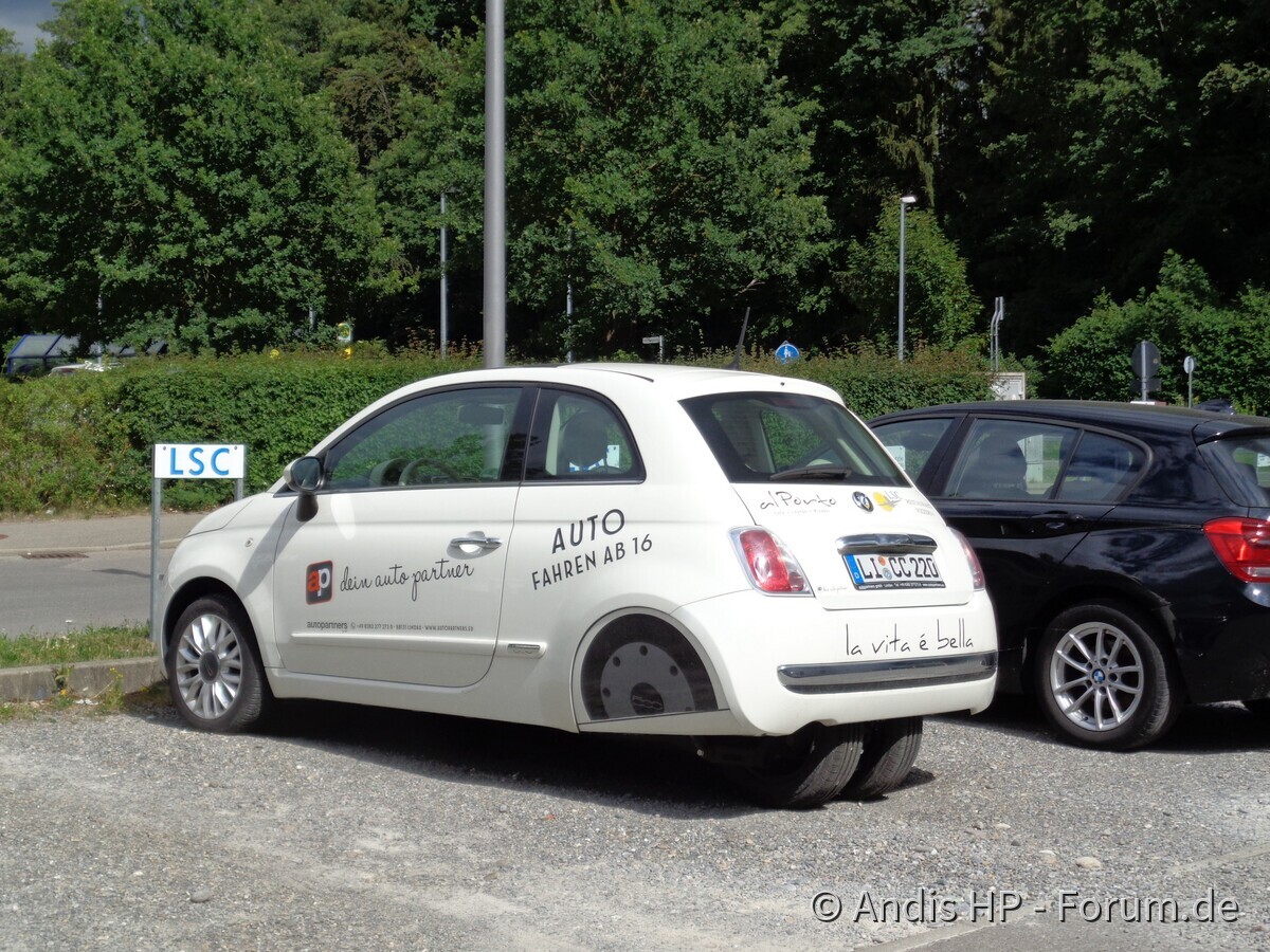 Auto´s auf dem Treffen in FN/RV