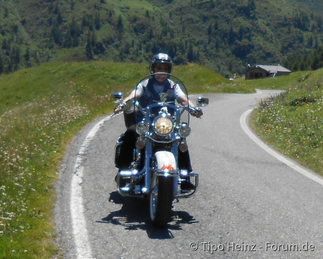 Harley FLSTN