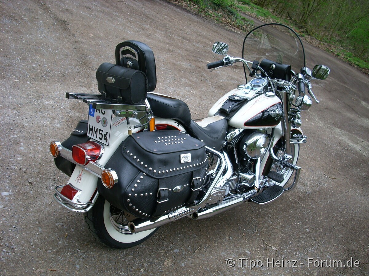 Harley FLSTN