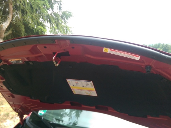 Motorhaubendichtung