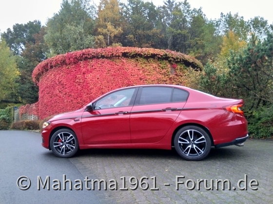 Morgendlicher Ausritt