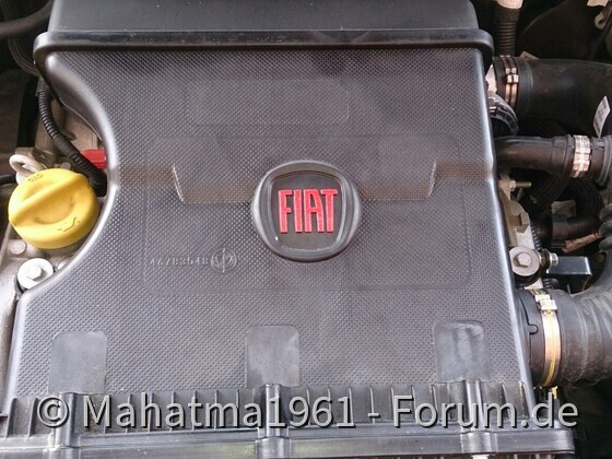 Putztag bei Sonnenschein