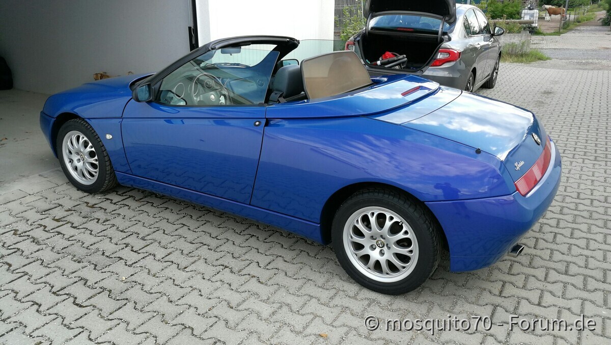 Das Ende des Dornröschenschlaf