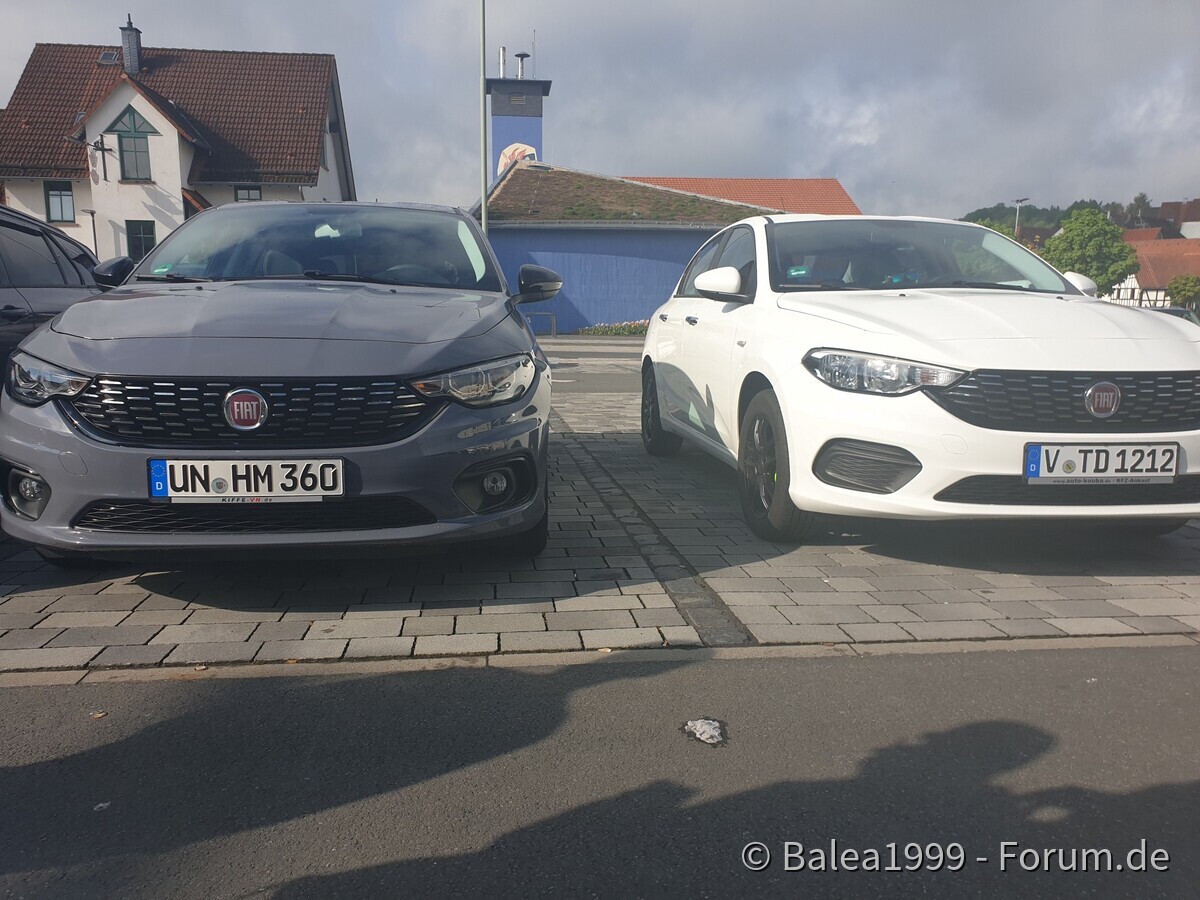 Schotten 2.0 mit Farbe