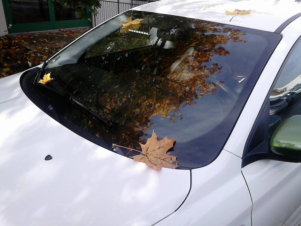 So nun ist er da der Herbst..............